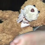 Santa Cruz: Un niño de solo un año y medio es llevado sin vida a un centro de salud e investigan infanticidio