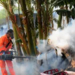 Chikunguña: confirman la sexta muerte y los casos ya bordean los 5.000