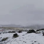 Nevada afecta al menos 12 comunidades de Potosí; hay más de 700 familias damnificadas